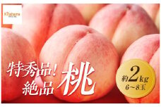 【2025年6月下旬より順次発送】特秀品！絶品「桃」約2kg(6～8玉)