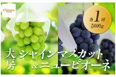 【2025年8月中旬より順次発送】大房シャインマスカット＆ 大房ニューピオーネ　各1房(各約600g)
