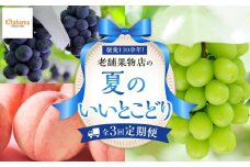 【定期便全3回】夏のいいとこどり定期便（7・8・9月）
