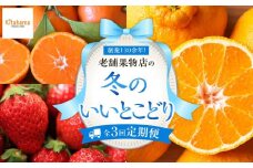 【定期便全3回】冬のいいとこどり定期便（12・1・2月）