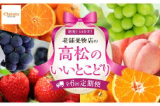 【定期便全6回】高松市のいいとこどり定期便（7・8・9・12・1・2月）
