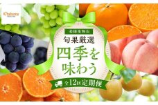 【定期便全12回】旬果厳選！四季を味わう単品定期便♪