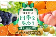 【定期便全12回】旬果厳選！四季を味わう単品定期便♪～プレミアム等級選果～