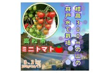 ミニトマト3.2kg (200g×16パック詰め）