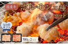 【父の日ギフト】国産牛　ホルモン二種セット1000g