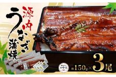 【お中元ギフト】源内うなぎ（3尾）