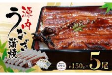 【お中元ギフト】源内うなぎ（5尾）