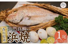 【お中元ギフト】天然真鯛の浜焼1尾（6人～7人前）