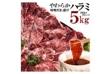 やわらかハラミ味噌だれ漬け5kg（200ｇ×25）