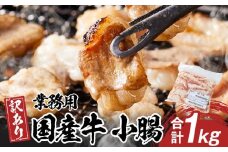 《業務用・訳アリ》国産牛　小腸　1kg