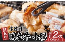 《業務用・訳アリ》国産牛　小腸　2kg