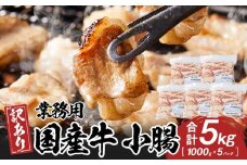 《業務用・訳アリ》国産牛　小腸　5kg
