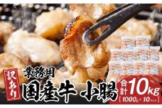《業務用・訳アリ》国産牛　小腸　10kg