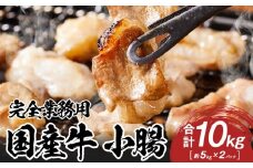 《完全業務用》国産牛　小腸　10kg