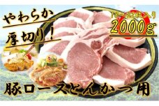 柔らか厚切り！豚ロースとんかつ用　2kg(18～22枚入り)