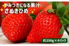 いちご さぬきひめ 苺 1kg 250g×4パック 果物 フルーツ くだもの イチゴ さぬき姫 ジューシー 果汁 甘い 季節 ビタミンC ポリフェノール 抗酸化作用 美肌 免疫力向上 ケーキ ジュース ゼリー アイス ジャム デザート スイーツ ふるさと納税いちご ふるさと納税フルーツ 国産 香川県 丸亀市 発送期間：2月以降発送開始