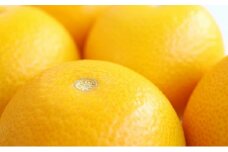 【先行予約】はっさく 八朔 約5kg 柑橘 ミカンみかん 蜜柑 果物 くだもの フルーツ 果実 ギフト 贈答用 プレゼント 2026年発送 香川県 丸亀市