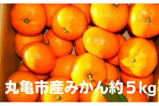 【先行予約】みかん 約5kg 柑橘 ミカン 蜜柑 オレンジ 果物 くだもの フルーツ 果実 ギフト 贈答用 プレゼント 11月～ 順次発送 香川県 丸亀市