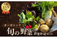 野菜 詰め合わせ よしむら農園 オーガニック おまかせ セット 一人暮らし おすすめ 野菜炒め 無添加 旬 香川県 安全 安心 有機栽培 JAS 栄養 贅沢 国産 大容量 人気 新鮮 今が旬