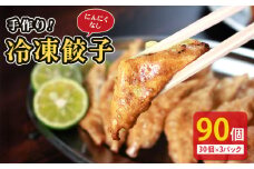 冷凍餃子 選べる単品 にんにくなし 30個×3p 餃子 セット ぎょうざ ギョウザ にんにく 不使用 肉 お肉 豚肉 豚 鶏肉 鳥 おつまみ 加工品 肉汁 惣菜 お弁当 冷凍ストック 寺岡商店 香川県 丸亀市