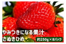 いちご 先行予約 さぬきひめ 8パック 丸亀産 フルーツ 果物 デザート おやつ 旬 産地直送 旬の果物 旬のフルーツ お取り寄せ 取り寄せ 送料無料 冷蔵 冷蔵配送 2025 先行 予約 2025年 香川 香川県 丸亀市