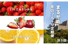 【冬の定期便3回】 丸亀自慢のフルーツ 全3回 定期便 フルーツ 果物 いちご さぬきひめ 紅ほっぺ はっさく 冷蔵 常温 香川県 丸亀市【離島エリア配送不可】