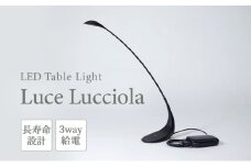 LED ライト Luce Lucciola 蛍の灯り ブラック 黒 日用品 インテリア テーブルライト LEDライト ランタン USB 作業灯 読書灯 枕元 ルームランプ 照明 明るい