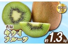 先行予約 キウイ 約1.3kg 化粧箱入り キウイフルーツ グリーンキウイ 香緑キウイ 果物 果実 フルーツ 旬 デザート 選べる 容量 11月下旬～1月中旬 配送 贈答用 ギフト プレゼント 香川県 丸亀市