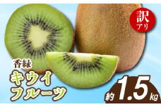 先行予約 キウイ 訳あり 約1.5kg キウイフルーツ グリーンキウイ サイズ混合 香緑キウイ 果物 果実 フルーツ 旬 デザート 選べる 容量 12月～1月下旬 配送 家庭用 贈答用 ギフト プレゼント 香川県 丸亀市