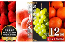 絶品フルーツの定期便 -旬の果実便り- 12ヶ月 讃州丸亀 定期便 フルーツ セット 詰め合わせ いちご キウイ はっさく デコポン びわ 桃 シャインマスカット みかん ゴールドキウイ さぬきひめ 紅ほっぺ 旬の果物 くだもの 12回 1年 お楽しみ 香川県 丸亀市