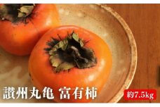 【10月中旬より発送開始】富有柿 約7.5kg 讃州丸亀 柿 甘柿 フルーツ 果物 デザート おやつ 旬 産地直送 冬の味覚 旬の果物 旬のフルーツ お取り寄せ 取り寄せ 送料無料 香川県 香川 丸亀市 丸亀 