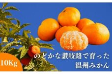 【11月中旬以降発送開始】みかん のどかな讃岐路で育った 温州みかん 約 10kg ミカン みかん人気 ミカン人気 みかん美味しい フルーツ 果物 果実 柑橘 柑橘類 デザート おやつ 旬 産地直送 冬の味覚 旬の果物 旬のフルーツ お取り寄せ 取り寄せ 送料無料 香川県 香川 丸亀市 丸亀
