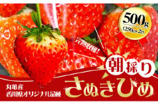 【2025年1月中旬以降発送開始】いちご 先行予約 朝採り さぬきひめ 250g × 2パック 丸亀産 いちご イチゴ 苺 いちご美味しい フルーツ 果物 デザート おやつ 旬 産地直送 旬の果物 旬のフルーツ 人気フルーツ 人気いちご お取り寄せ 取り寄せ 冷蔵 冷蔵配送 先行 予約 香川県 丸亀市