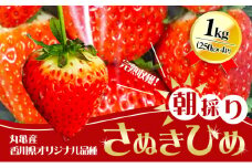 【2025年1月中旬以降発送開始】いちご 先行予約 朝採り さぬきひめ 250g × 4パック 丸亀産 イチゴ 苺 いちご美味しい フルーツ 果物 デザート おやつ 旬 産地直送 旬の果物 旬のフルーツ 人気フルーツ 人気いちご お取り寄せ 取り寄せ 冷蔵 冷蔵配送 先行 予約 香川県 丸亀市