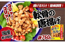 唐揚げ 国産 若鶏 軟骨 計 750g 小分け 250g 3個 セット からあげ 唐揚 鶏肉 鳥肉 ビール おつまみ 希少部位 冷凍 鶏 若鳥 鳥 肉 チキン 惣菜 弁当 簡単 気軽 保存 時短 揚げるだけ スパイス ピリ辛 BBQ キャンプ アウトドア 香川県 香川 丸亀 丸亀市