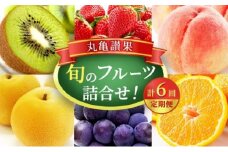 【丸亀讃果】【定期便 6ヶ月】今が旬の厳選果実 詰め合わせ いちご みかん デコポン はっさく びわ 桃 梨 ぶどう マスカット キウイ キウイフルーツ 柿 清見オレンジ せとか 旬の果物 旬のフルーツ 果物 くだもの 6回 半年 詰合せ デザート フルーツ定期 フルーツ定期便 果物定期 果物定期便 人気果物 人気フルーツ 香川 丸亀