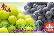 大房 シャインマスカット＆ニューピオーネ 各1房 ( 各約600g ) マスカット ピオーネ ぶどう 葡萄 ブドウ フルーツ 果物 くだもの 高級 デザート スイーツ ケーキ ゼリー ジュース アイス 国産 ふるさと納税マスカット ふるさと納税ぶどう くだもの畑 PonPon 【2025年8月中旬より順次発送】