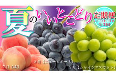 【全3回】フルーツ定期便「丸亀市夏のいいとこどり定期便」/シャインマスカット 桃 ピオーネ  定期配送 頒布会 果実 果物 フルーツ 旬のフルーツ フルーツギフト フルーツ定期 フルーツ定期便 果物定期 果物定期便 人気果物 人気フルーツ 夏フルーツ  香川 丸亀