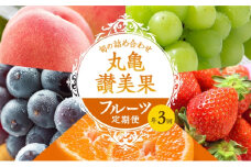 フルーツ定期便 丸亀讃美果 計3回定期便／ 果実 果物 旬 定期配送 シャインマスカット 桃 みかん いちご ピオーネ ぶどう 詰め合わせ 詰合せ デザート フルーツ定期 フルーツ定期便 果物定期 果物定期便 人気果物 人気フルーツ 香川 丸亀