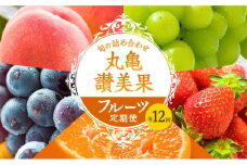 フルーツ 定期便 12ヶ月 丸亀讃美果 セット 詰め合わせ 桃 シャインマスカット いちご ピオーネ みかん 旬の果物 旬のフルーツ 果物 くだもの 紅みかん せとか 清見オレンジ キウイフルーツ キウイ 12回 1年 お楽しみ フルーツ定期 フルーツ定期便 果物定期 果物定期便 人気果物 人気フルーツ 香川 丸亀