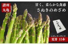 さぬきのめざめ（夏芽）1.5kg アスパラガス  アスパラ あすぱら あすぱらがす 野菜 