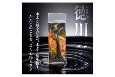 徳川家康　戦国系ゴルフティーホルダー～戦～ ストラップ キーホルダー