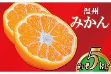 【2025年11月上旬より順次発送】【極撰】温州みかん 約 5kg フルーツ 果物 柑橘 柑橘類 デザート おやつ 旬 産地直送 冬の味覚 旬の果物 旬のフルーツ お取り寄せ 取り寄せ 送料無料 みかん 香川  温州ミカン ミカン 蜜柑