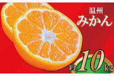 【2025年11月上旬より順次発送】【極撰】みかん 香川 温州みかん 約10kg フルーツ 果物 柑橘 柑橘類 デザート おやつ 旬 産地直送 冬の味覚 旬の果物 旬のフルーツ お取り寄せ 取り寄せ 送料無料 温州ミカン ミカン 蜜柑