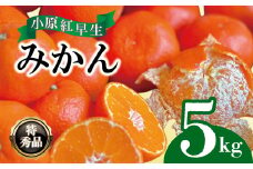【2025年11月中旬より順次発送】【特秀品】みかん 小原紅早生 約5kg 真っ赤なみかん 小原紅早生みかん 甘い ミカン 蜜柑 フルーツ 果物 くだもの 柑橘 柑橘類 デザート 旬 産地直送 冬の味覚 旬の果物 旬のフルーツ お取り寄せ 取り寄せ