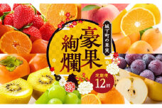 フルーツ 定期便 12ヶ月 数量限定 城下町の果実 豪果絢爛 セット 詰め合わせ いちご みかん デコポン はっさく びわ 桃 ピオーネ 梨 シャインマスカット ゴールドキウイ 柿 富有柿 せとか 旬のフルーツ 果物 フルーツ定期便 果物定期 果物定期便 人気果物 人気フルーツ 夏フルーツ 冬フルーツ 