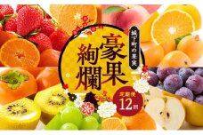 フルーツ 定期便 12ヶ月 数量限定 城下町の果実 豪果絢爛 セット 詰め合わせ いちご みかん デコポン はっさく びわ 桃 ピオーネ 梨 シャインマスカット ゴールドキウイ 柿 富有柿 せとか 旬のフルーツ 果物 フルーツ定期便 果物定期 果物定期便 人気果物 人気フルーツ 夏フルーツ 冬フルーツ 