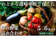 のどかな讃岐平野で育てた 旬の野菜 詰め合わせセット　今が旬 健康 野菜ボックス ヘルシー食材