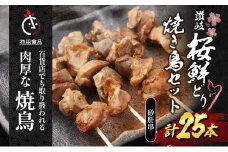 百貨店でも扱われる肉厚な焼鳥!讃岐桜鮮どり焼き鳥セット　砂肝串×25本