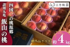贈答用 飯山の桃 4kg（10玉～13玉） 桃 モモ 果物 フルーツ ピーチ ゼリー アイス ジェラート ケーキ ジュース ジャム タルト デザート スイーツ おやつ 人気 おすすめ お取り寄せ グルメ ギフト プレゼント 送料無料 香川県 丸亀市 三谷桃園